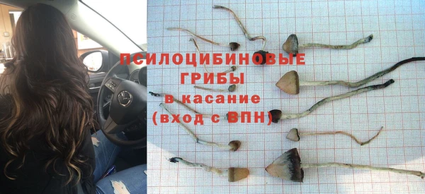 меф Белокуриха