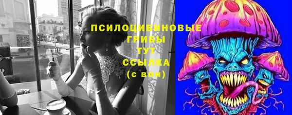 меф Белокуриха