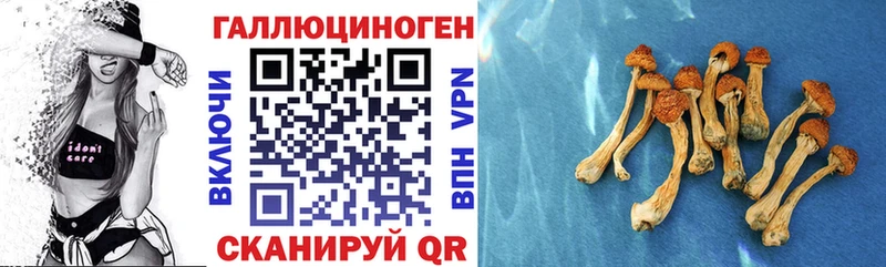 как найти Володарск ссылка на мегу ТОР Галлюциногенные грибы Magic Shrooms